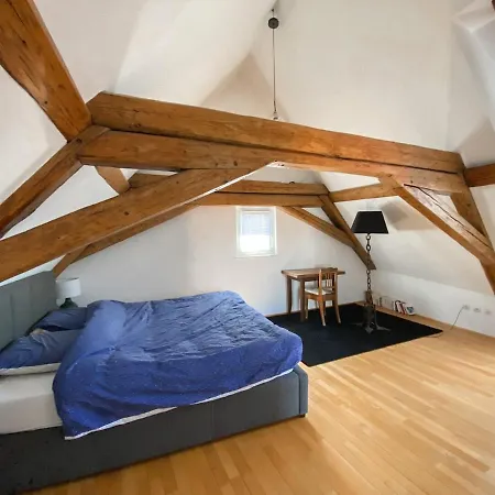 Attic Duplex Colmar