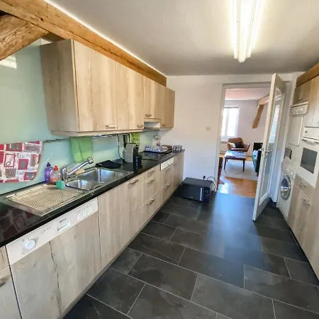 Attic Duplex * Кольмар