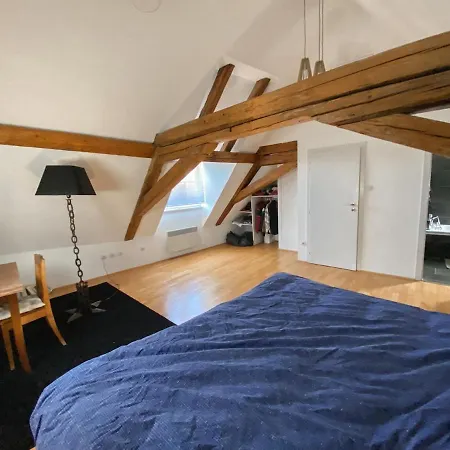 Attic Duplex 公寓 *