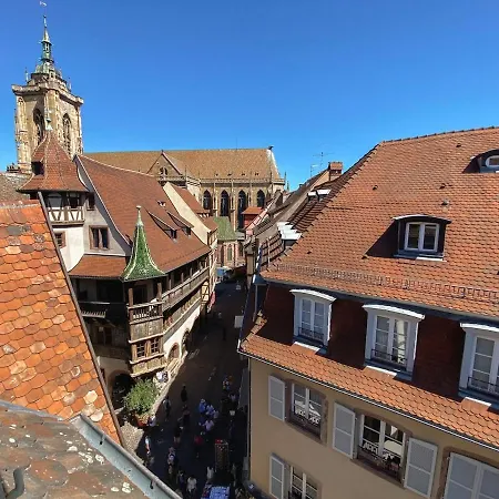 Attic Duplex * 科尔马