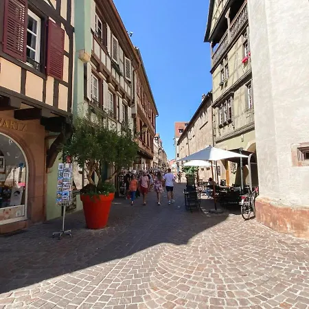 Attic Duplex Apartamento Colmar