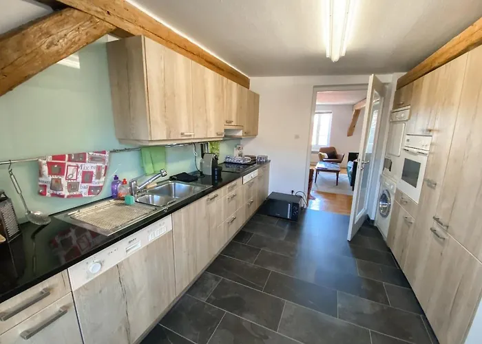 Attic Duplex * 科尔马