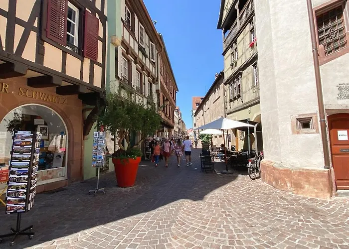 Attic Duplex Apartamento Colmar