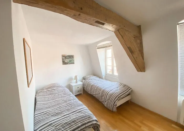 Attic Duplex * 科尔马